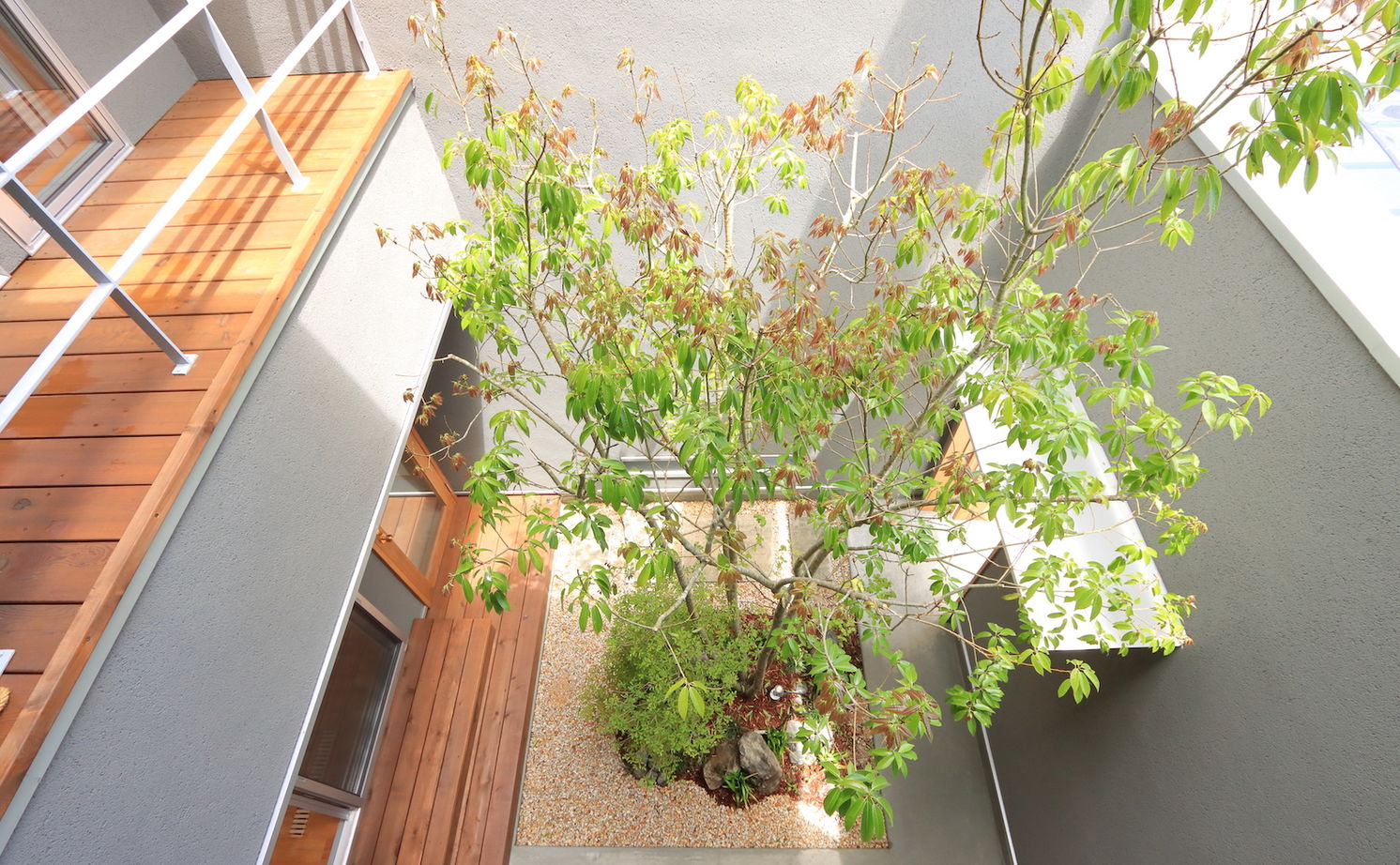 iKKA 【京都府｜2550万円｜間取り図有】空と緑を楽しむ中庭＆吹き抜けで家族が繋がる住まいの建築実例画像9