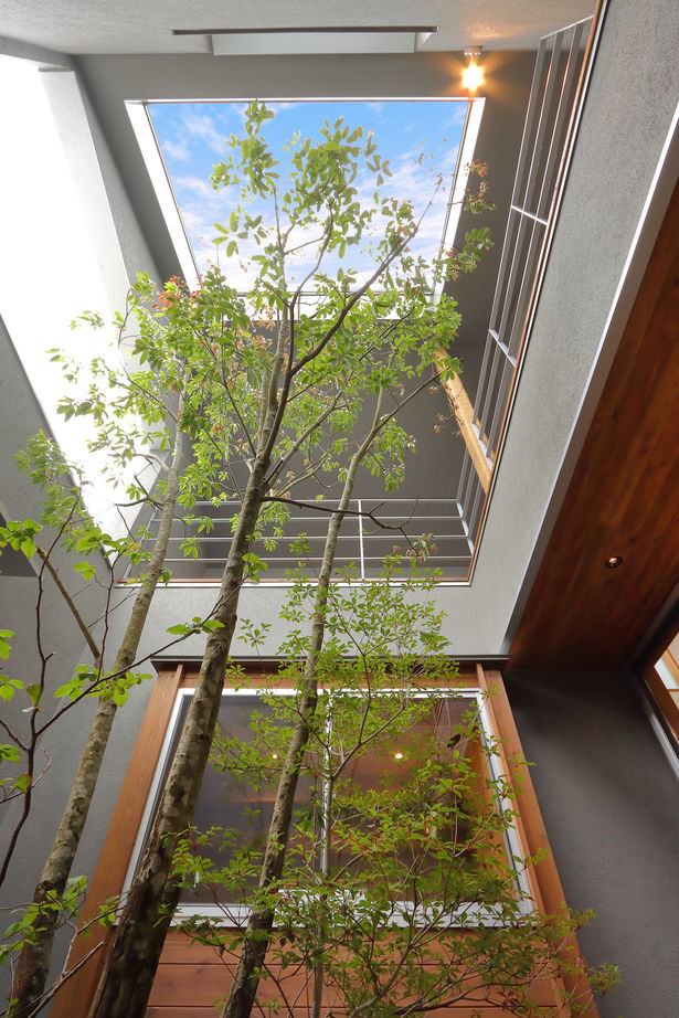 iKKA 【京都府｜2550万円｜間取り図有】空と緑を楽しむ中庭＆吹き抜けで家族が繋がる住まいの建築実例画像12