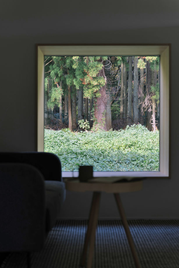 iKKA 【滋賀県｜2000万円台｜間取り有】森の景色を鮮やかに切り取る四角い窓と大きな三角屋根が魅力的な平屋の家の建築実例画像4