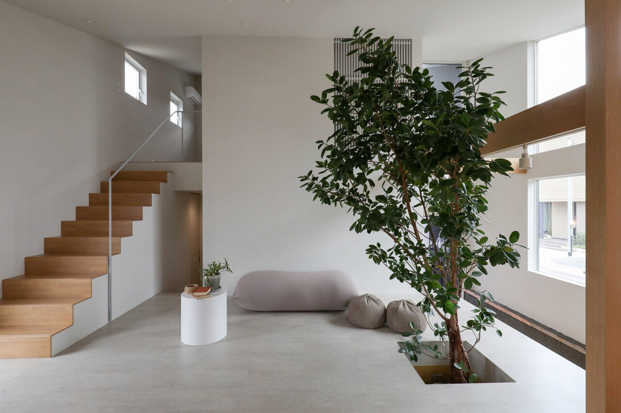 家元 4000万円台 |「樹」と暮らす家。まるで屋外のような、心地よい開放感。住まいの中心にシンボルツリーの建築実例画像2