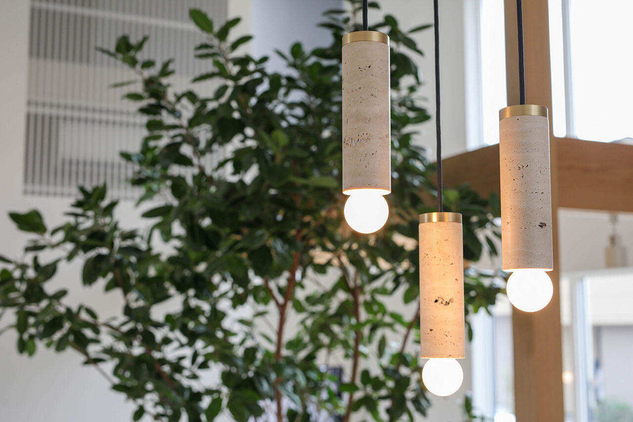 家元 4000万円台 |「樹」と暮らす家。まるで屋外のような、心地よい開放感。住まいの中心にシンボルツリーの建築実例画像5