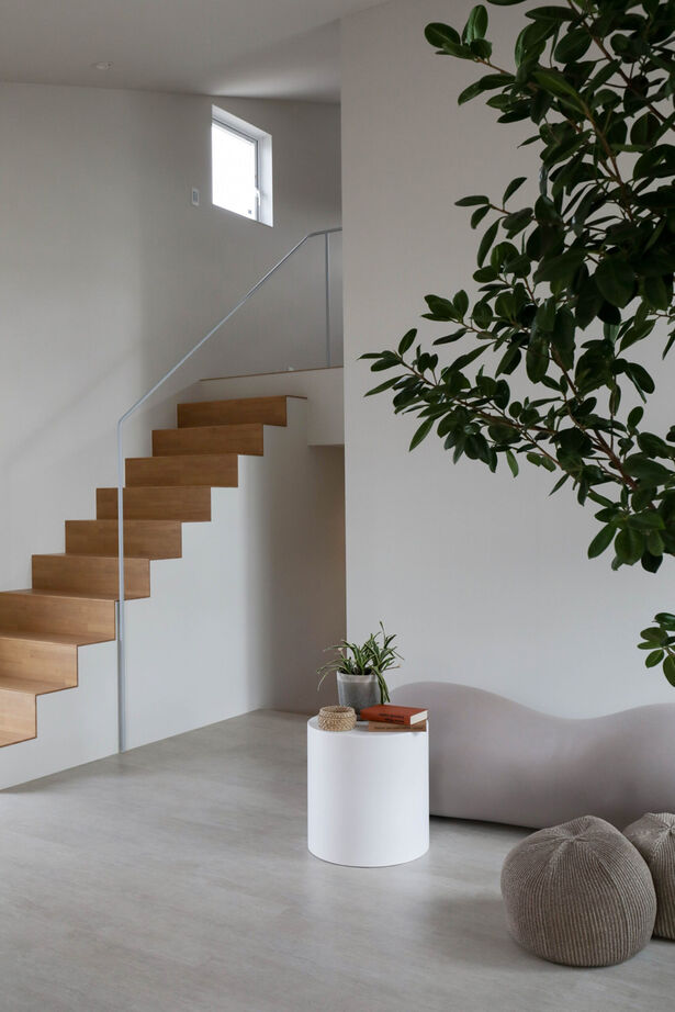 家元 4000万円台 |「樹」と暮らす家。まるで屋外のような、心地よい開放感。住まいの中心にシンボルツリーの建築実例画像6