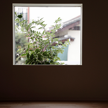 ue_bo design 【40坪以下/一級建築士×気密断熱】木の魅せ方を知るプロの丁寧な仕事から生まれる、美しい家の建築実例画像6