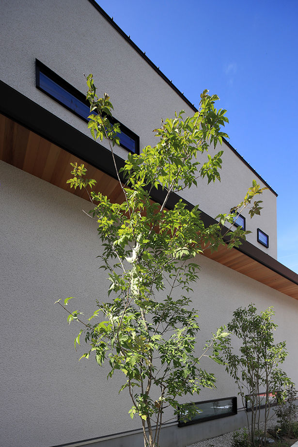 ue_bo design 【3000万円台｜間取り図有｜30坪台】空間を構成する「線」まで美しい、別荘のように寛げる家の建築実例画像20