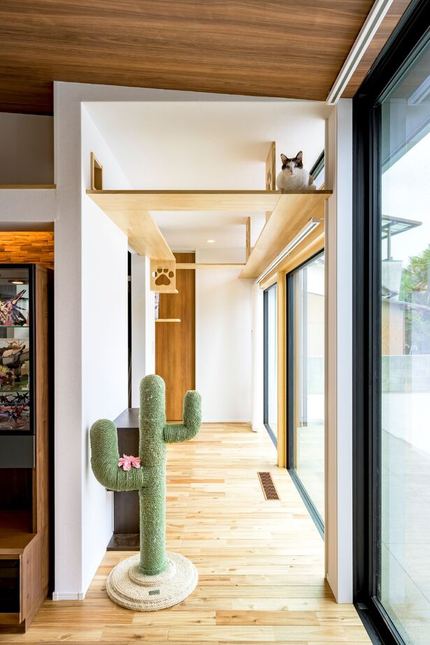 竹並建設 猫と暮らす回遊きでる平屋の建築実例画像4