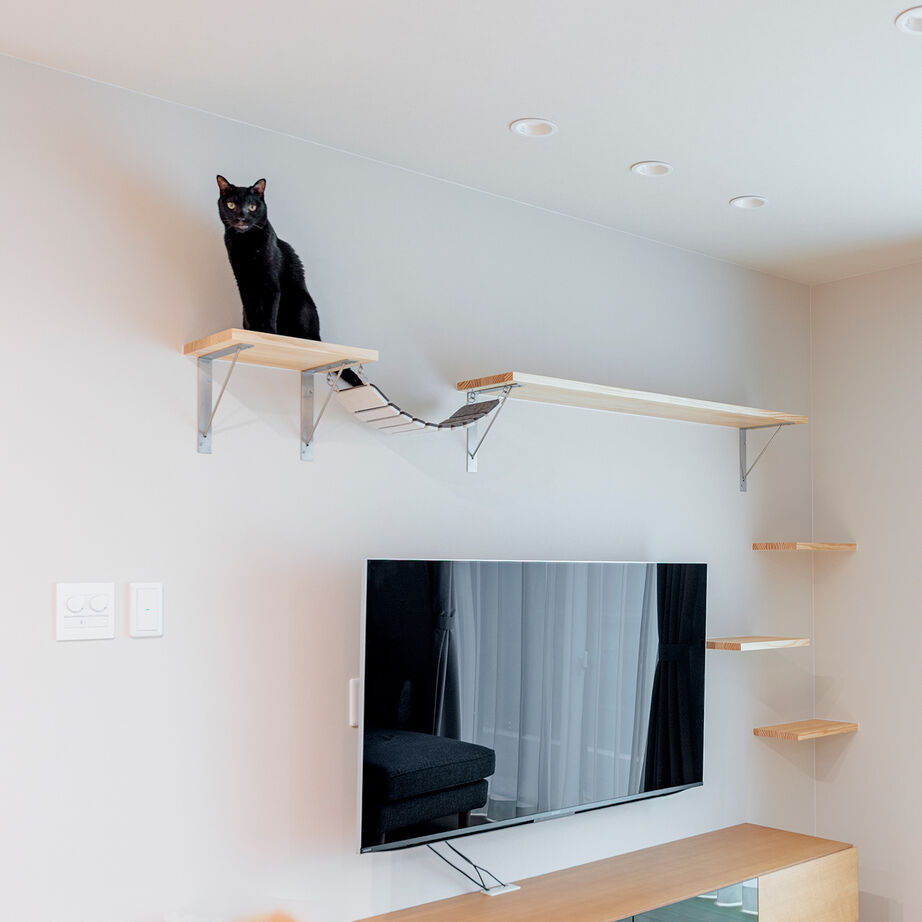 東宝ホーム　広島 猫も家族も心地いい。抜群の家事動線で、今も年をとってからも暮らしやすい平屋の家の建築実例画像6