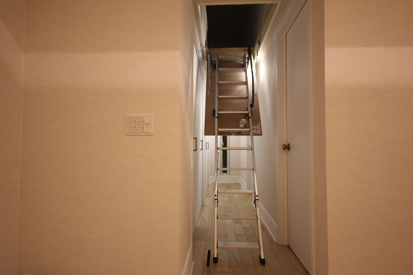 ロゴスホーム 【2000万円台/平屋/約33坪】シンプルで機能的なスタイルの平屋の建築実例画像5