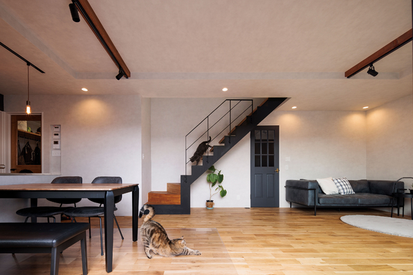 ＰＬＵＳ　ＨＡＵＳ（プラスハウス）のイベント画像