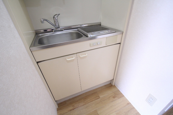 キッチン　※別号室の写真です