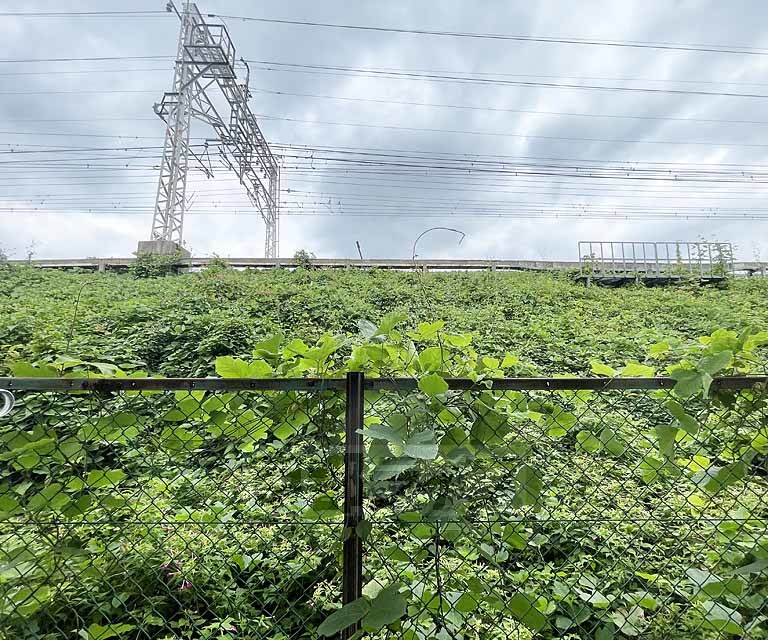 【向日市上植野町のマンションの眺望】