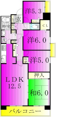 白井ロジュマンの間取り