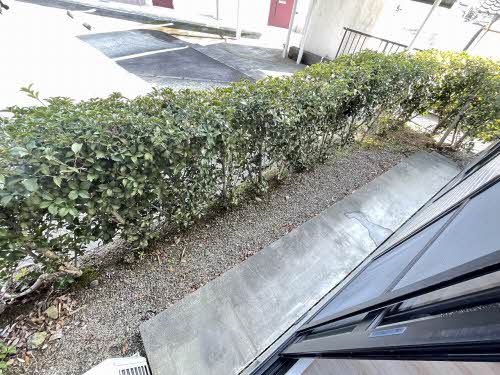 庭　陽当たり良好なお庭です♪