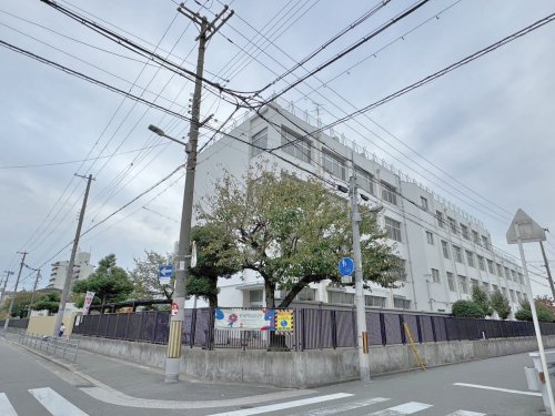 中学校　大阪市立加美南中学校（中学校）まで642m