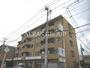 青梅街道駅より徒歩3分 5階 築39年10ヶ月の賃貸物件