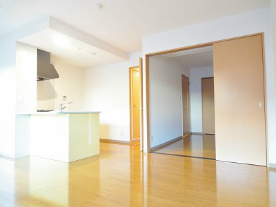 その他　カウンターキッチンのリビングになります。