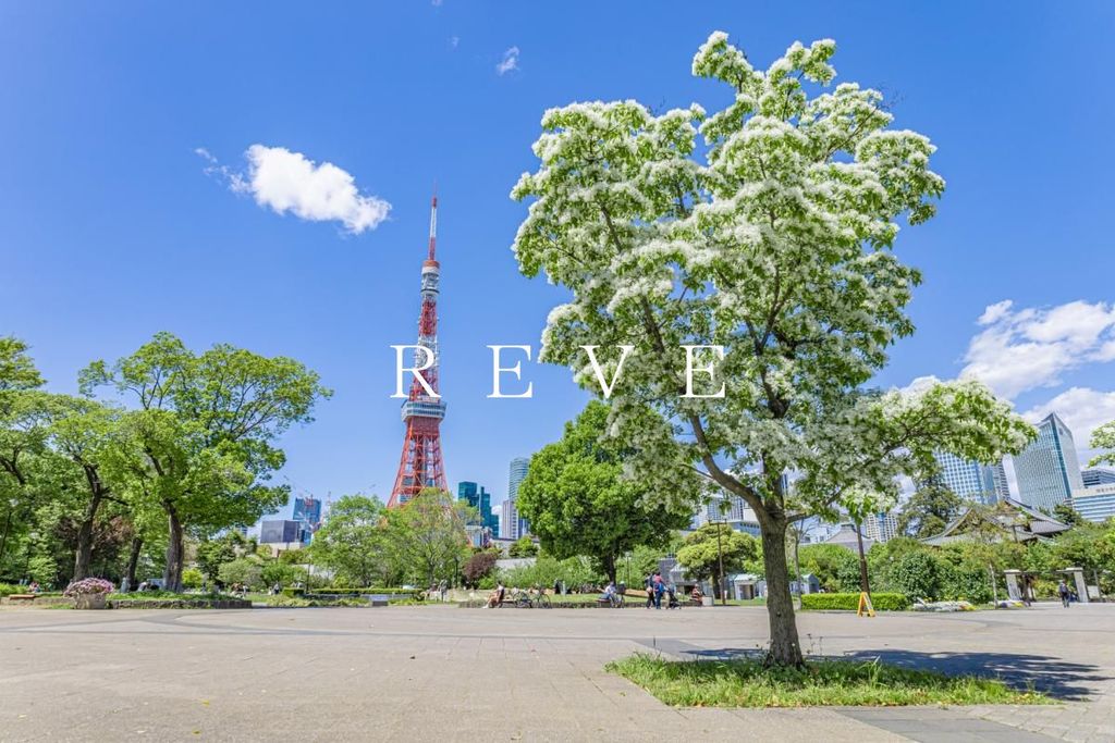 その他　芝公園（その他）まで520m