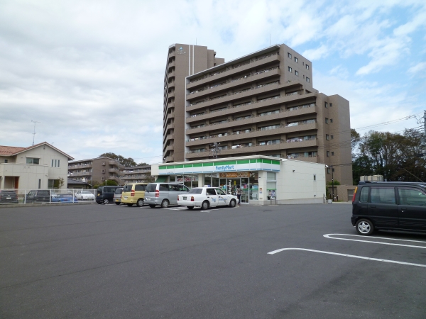 その他　ファミリーマート　金町店（その他）まで1000m