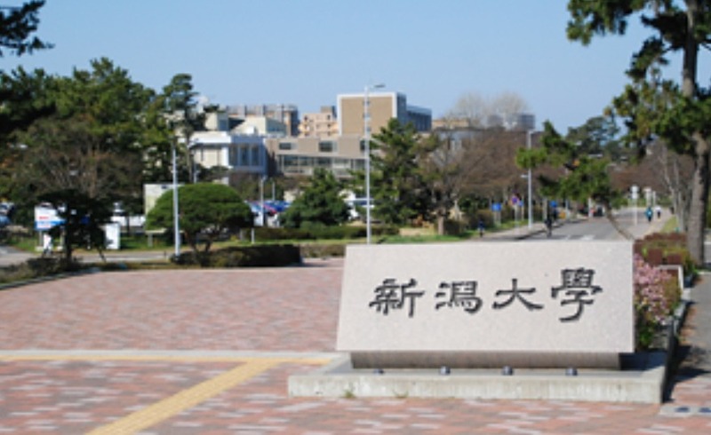 大学・短大　新潟大学 工学部（大学・短大）まで1464m