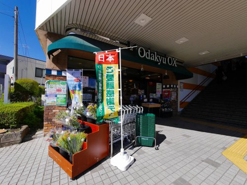スーパー　OdakyuOX 長後店（スーパー）まで536m