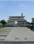 幼稚園・保育園　トレジャーキッズいまみや保育園（幼稚園・保育園）まで1466m