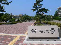 大学・短大　国立新潟大学歯学部（大学・短大）まで589m