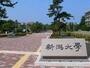 大学・短大　国立新潟大学歯学部（大学・短大）まで589m