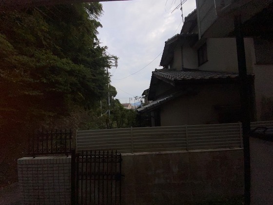 眺望