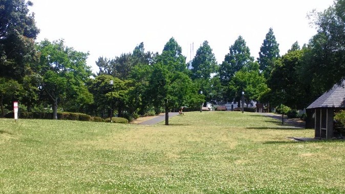 公園　新本牧公園（公園）まで821m