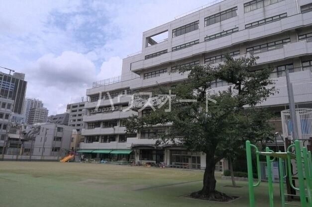 小学校　千代田区立和泉小学校（小学校）まで1034m