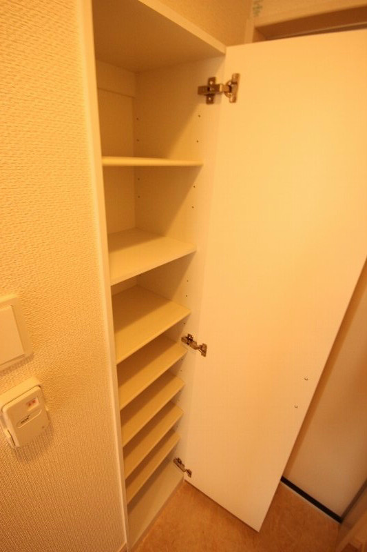 その他　反転タイプのお写真です。