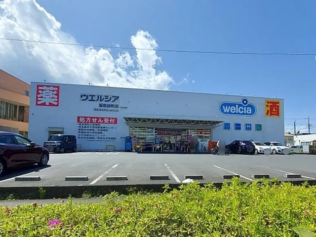 ドラックストア　ウエルシア飯能柳町店（ドラッグストア）まで869m