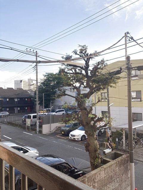 眺望