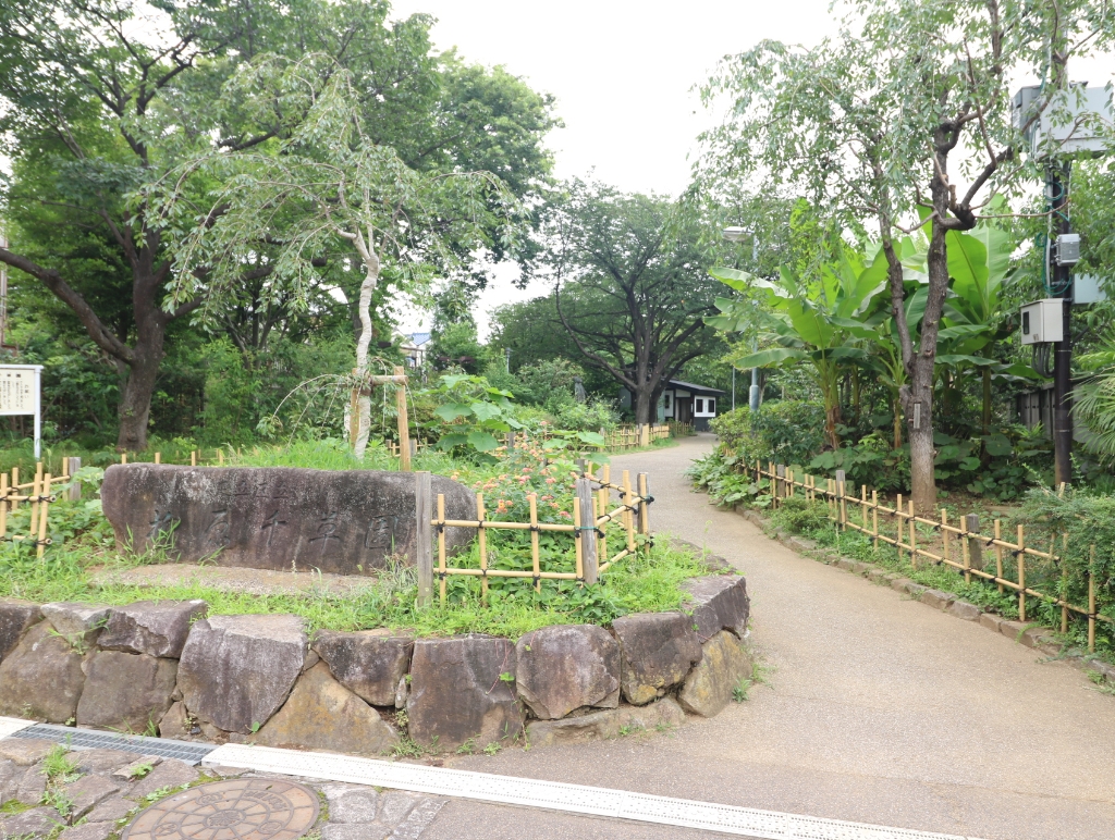 【魚地マンションの公園】