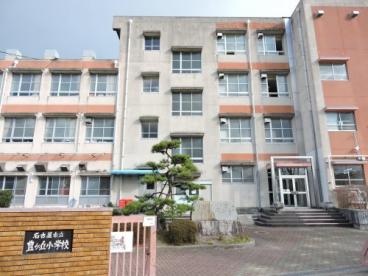 小学校　豊が丘小学校（小学校）まで589m