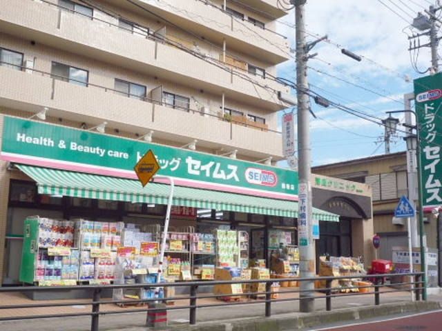 【伊勢原市串橋のアパートのドラックストア】