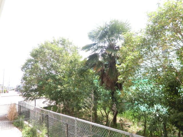 眺望　1階からの景色です