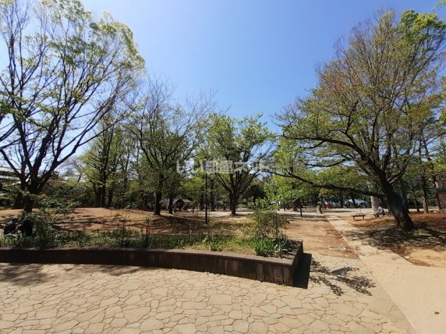 公園　新井薬師公園（公園）まで388m