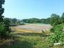 公園　入船公園（公園）まで1442m