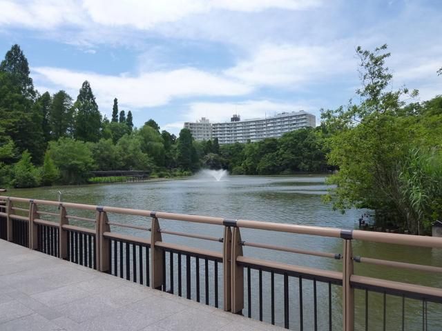 公園　井の頭公園（公園）まで1200m