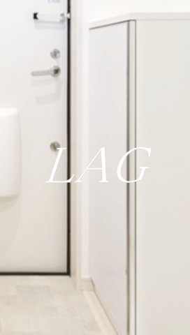 収納　シューズボックスです。