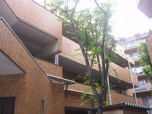 横浜市神奈川区三ツ沢西町のマンションの建物外観