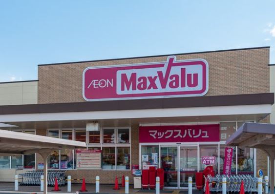 スーパー　マックスバリュ宮上店（スーパー）まで743m