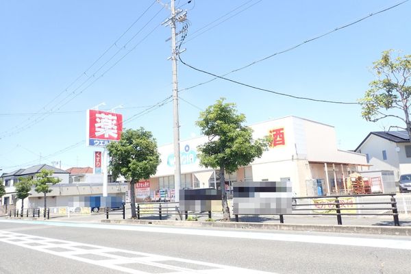 【フジパレス戸建賃貸鳳西町三丁のドラックストア】