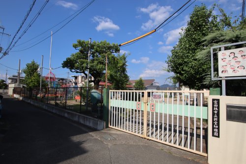 幼稚園・保育園　富田林市立新堂幼稚園（幼稚園・保育園）まで423m