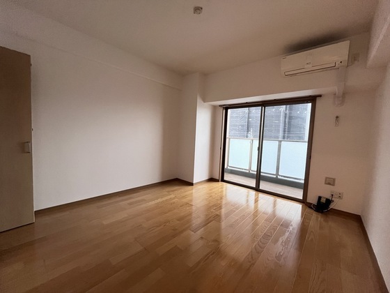 居室・リビング　※別部屋の写真です