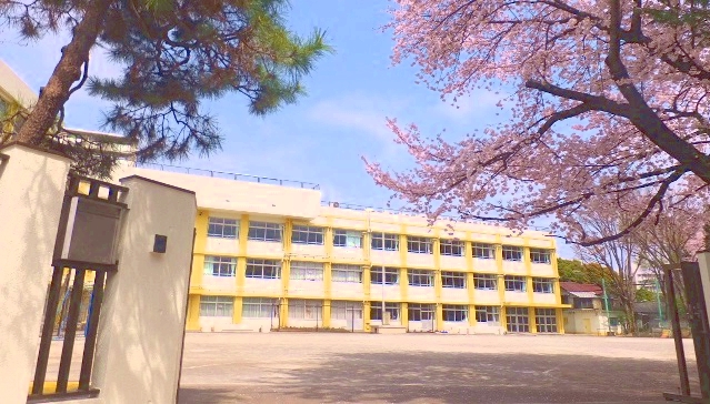 小学校　板橋区立板橋第八小学校（小学校）まで281m