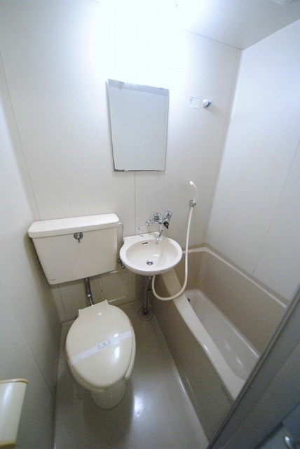 バス・シャワールーム　写真は２１６号室