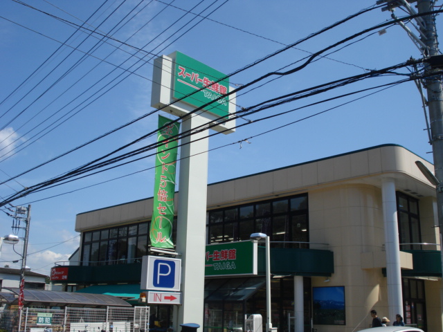 その他　スーパー生鮮館TAIGA岡津店まで297ｍ