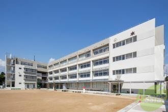 小学校　西宮市立香櫨園小学校（小学校）まで376m