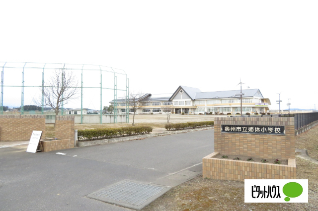 小学校　奥州市立姉体小学校（小学校）まで2460m